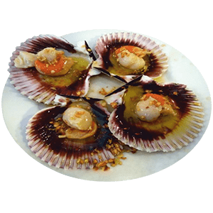 VIEIRAS-A-LA-PLANCHA-min